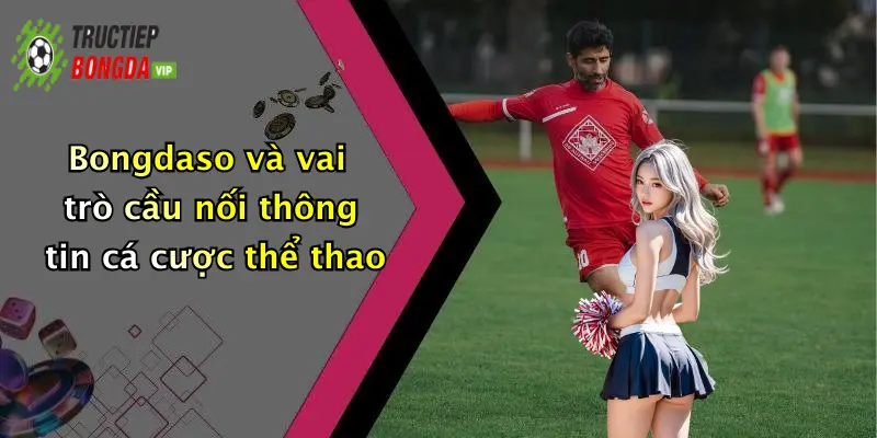 Bongdaso và vai trò cầu nối thông tin cá cược thể thao