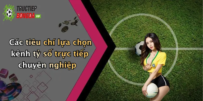 Các tiêu chí lựa chọn kênh tỷ số trực tiếp chuyên nghiệp