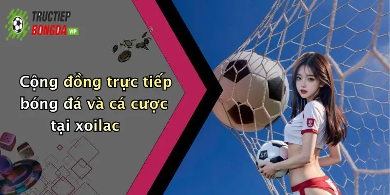 Cộng đồng trực tiếp bóng đá và cá cược tại xoilac