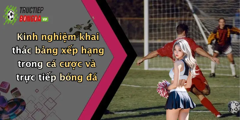 Kinh nghiệm khai thác bảng xếp hạng trong cá cược và trực tiếp bóng đá
